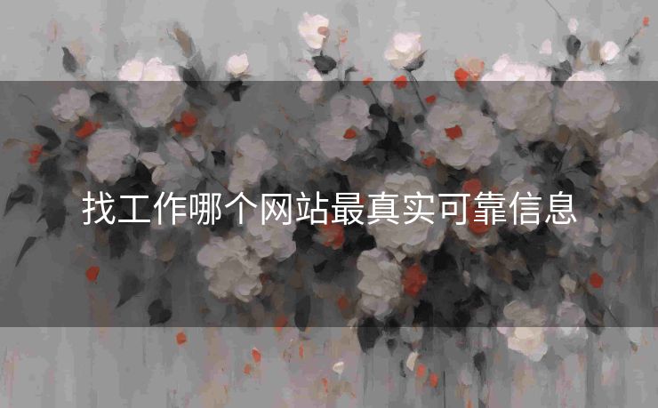 找工作哪个网站最真实可靠信息