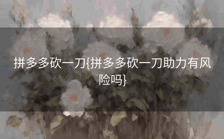 拼多多砍一刀{拼多多砍一刀助力有风险吗}