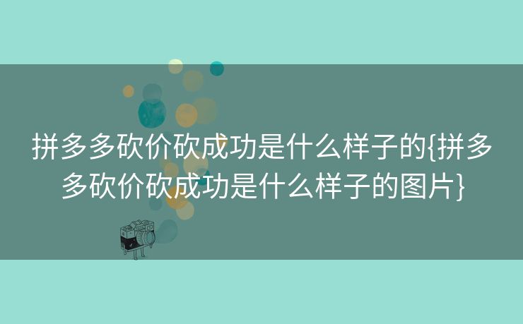 拼多多砍价砍成功是什么样子的{拼多多砍价砍成功是什么样子的图片}