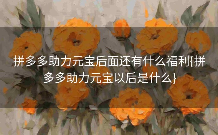 拼多多助力元宝后面还有什么福利{拼多多助力元宝以后是什么}
