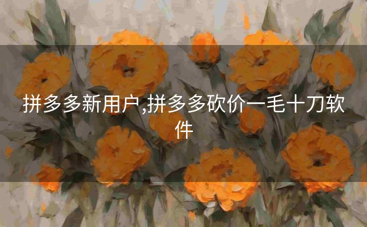 拼多多新用户,拼多多砍价一毛十刀软件