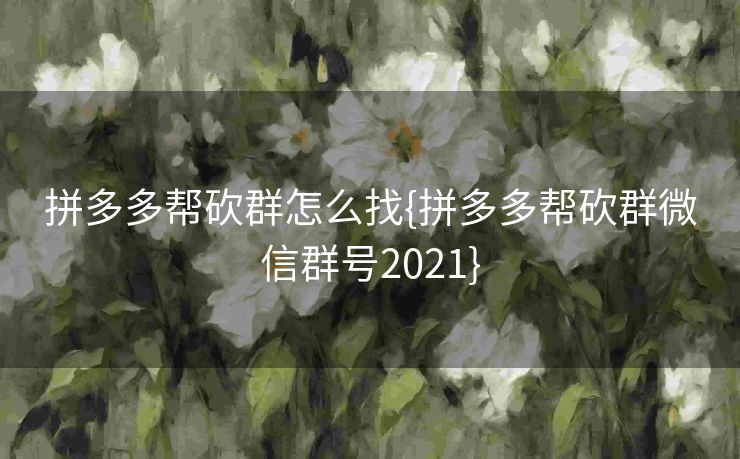 拼多多帮砍群怎么找{拼多多帮砍群微信群号2021}