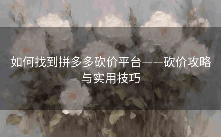 如何找到拼多多砍价平台——砍价攻略与实用技巧
