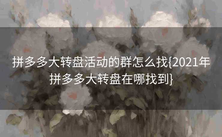 拼多多大转盘活动的群怎么找{2021年拼多多大转盘在哪找到}