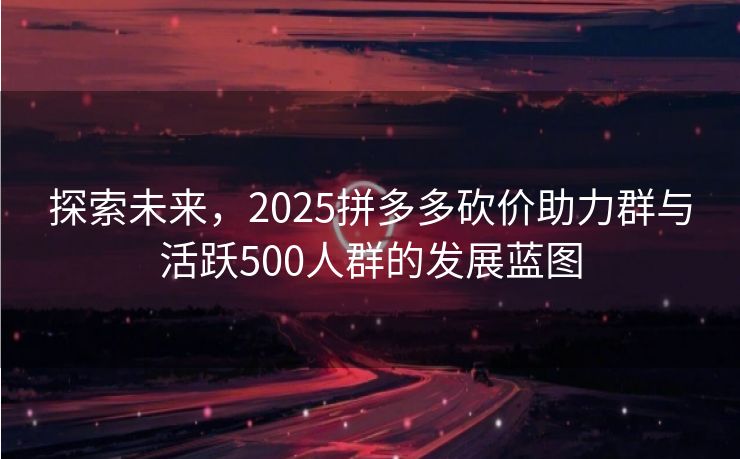 探索未来，2025拼多多砍价助力群与活跃500人群的发展蓝图