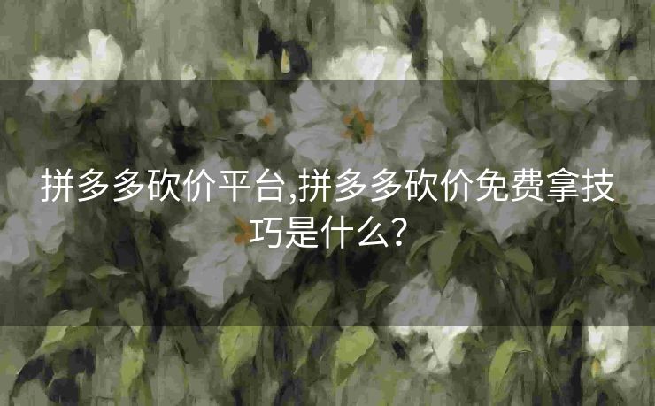 拼多多砍价平台,拼多多砍价免费拿技巧是什么？