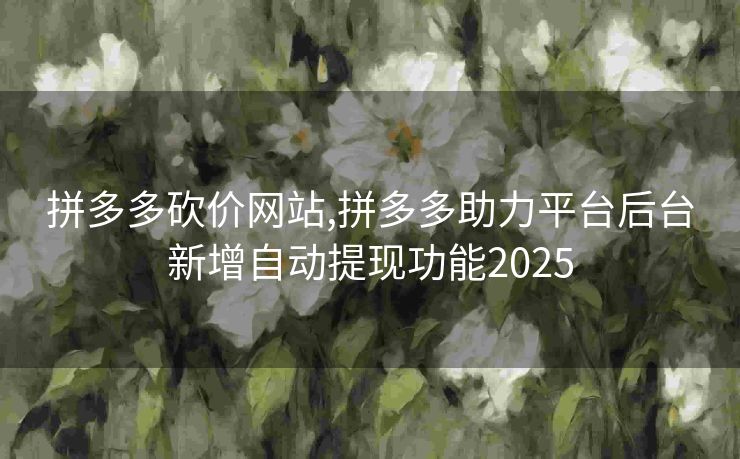 拼多多砍价网站,拼多多助力平台后台新增自动提现功能2025