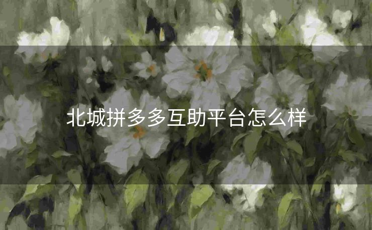 北城拼多多互助平台怎么样