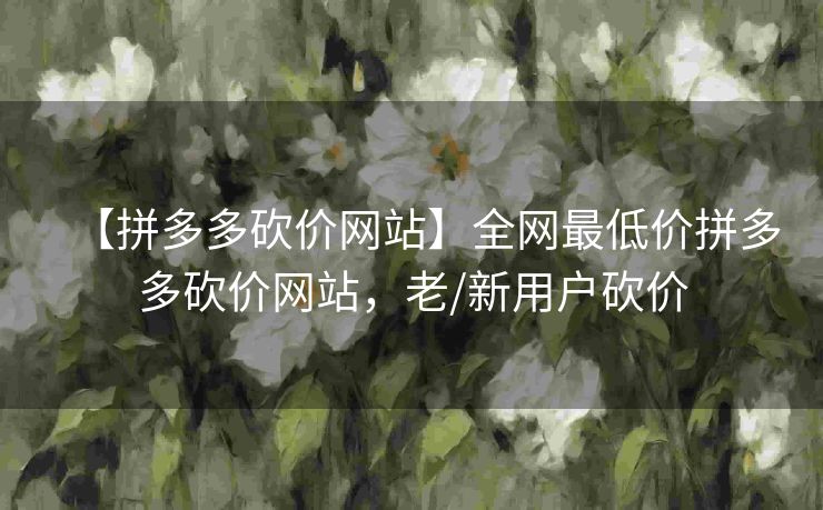 【拼多多砍价网站】全网最低价拼多多砍价网站，老/新用户砍价