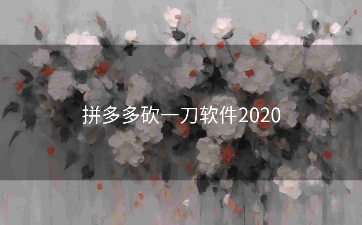 拼多多砍一刀软件2020