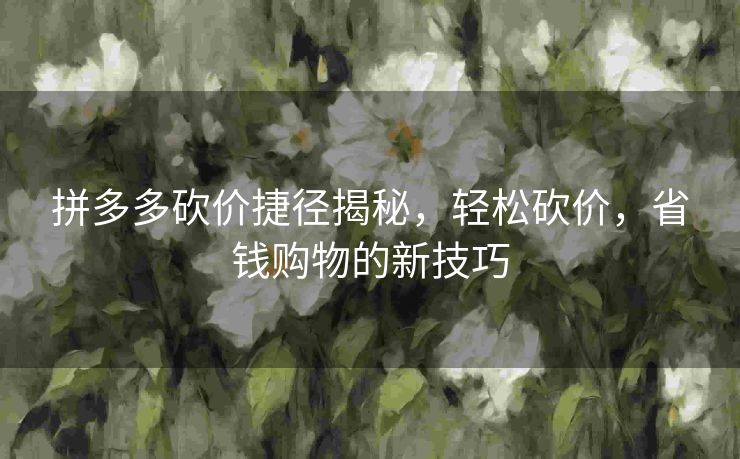 拼多多砍价捷径揭秘，轻松砍价，省钱购物的新技巧