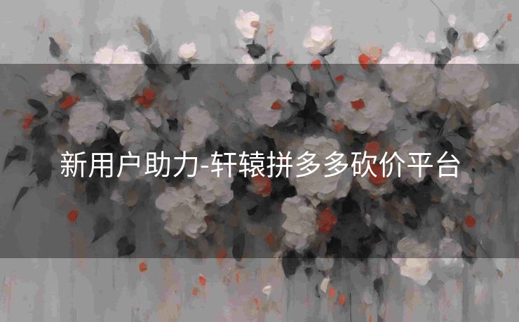 新用户助力-轩辕拼多多砍价平台