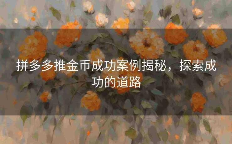 拼多多推金币成功案例揭秘，探索成功的道路
