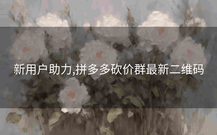 新用户助力,拼多多砍价群最新二维码