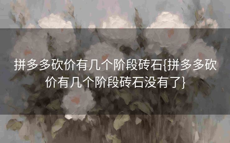 拼多多砍价有几个阶段砖石{拼多多砍价有几个阶段砖石没有了}