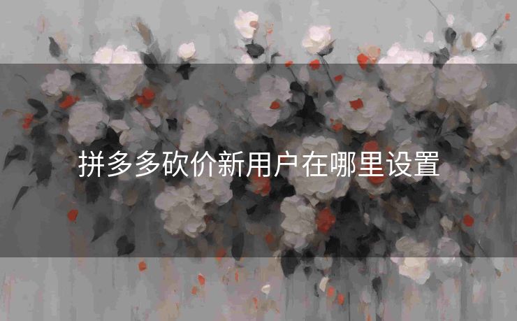 拼多多砍价新用户在哪里设置