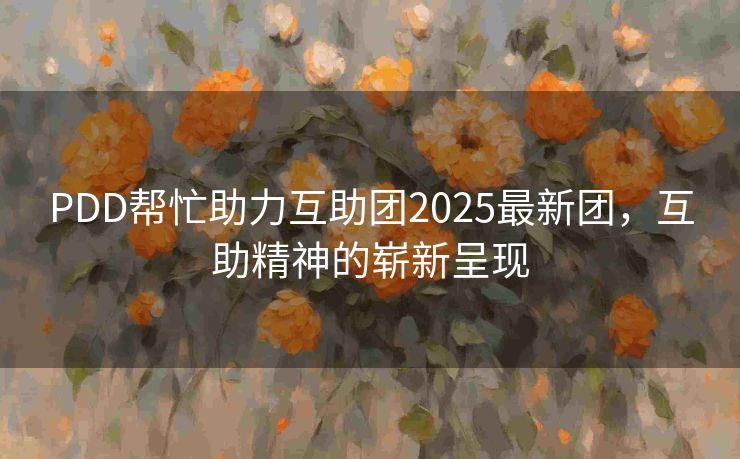 PDD帮忙助力互助团2025最新团，互助精神的崭新呈现