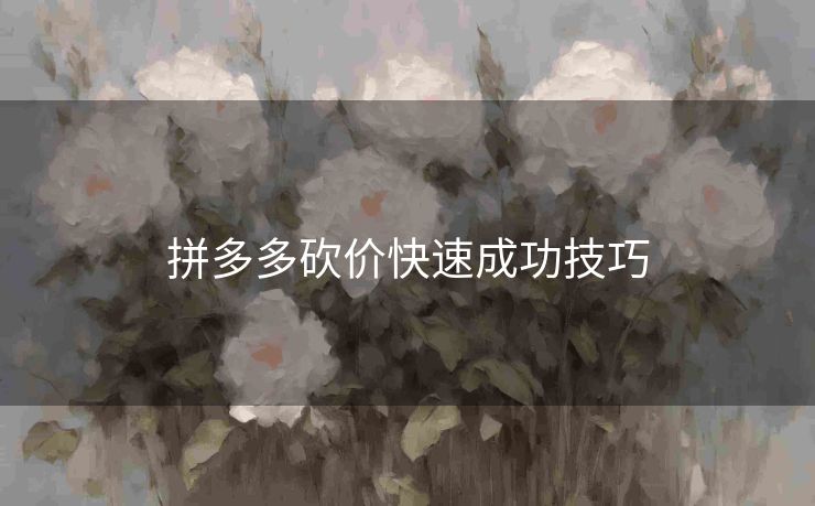 拼多多砍价快速成功技巧