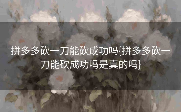 拼多多砍一刀能砍成功吗{拼多多砍一刀能砍成功吗是真的吗}