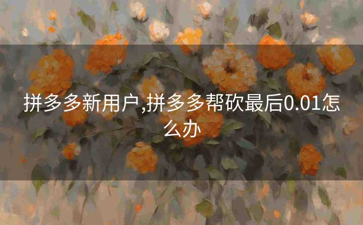 拼多多新用户,拼多多帮砍最后0.01怎么办