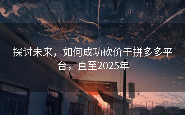 探讨未来，如何成功砍价于拼多多平台，直至2025年