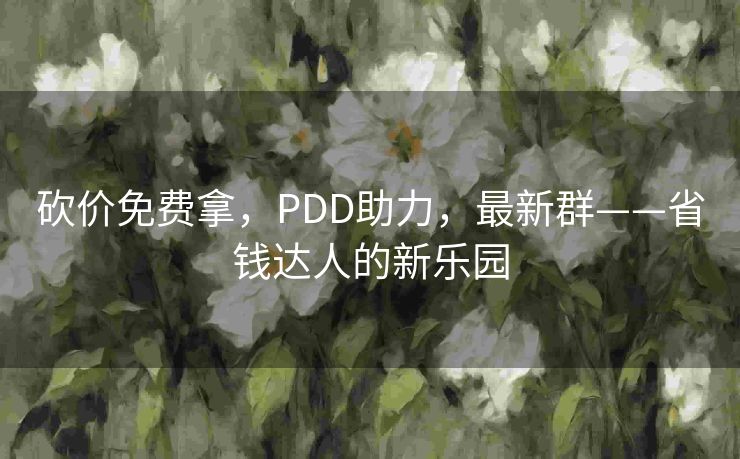 砍价免费拿，PDD助力，最新群——省钱达人的新乐园