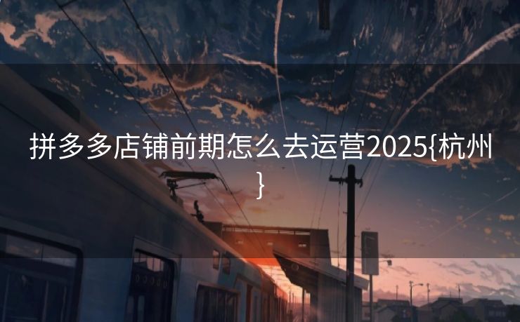 拼多多店铺前期怎么去运营2025{杭州}