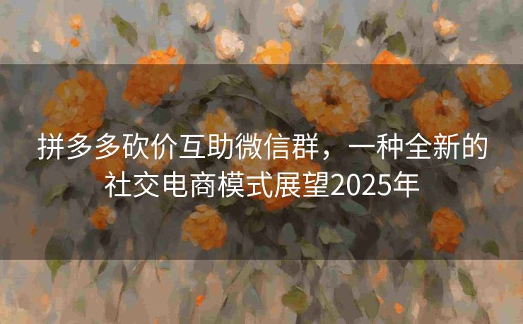 拼多多砍价互助微信群，一种全新的社交电商模式展望2025年