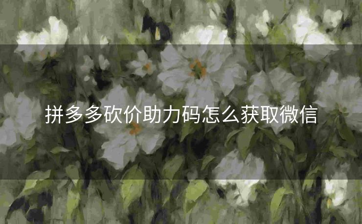拼多多砍价助力码怎么获取微信