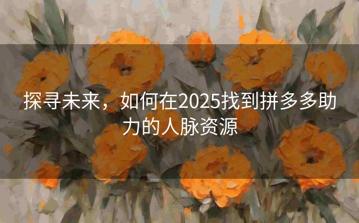 探寻未来，如何在2025找到拼多多助力的人脉资源
