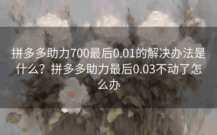 拼多多助力700最后0.01的解决办法是什么？拼多多助力最后0.03不动了怎么办