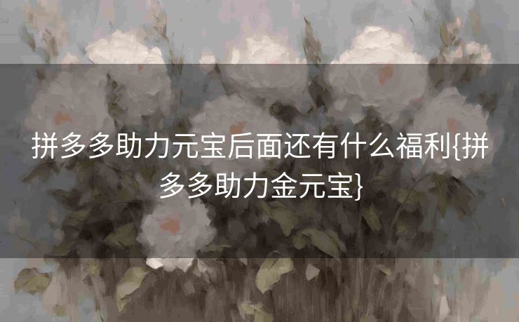 拼多多助力元宝后面还有什么福利{拼多多助力金元宝}