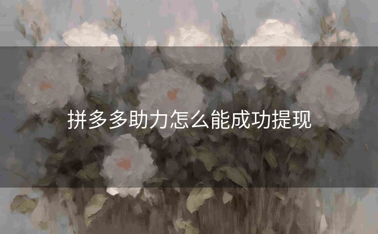 拼多多助力怎么能成功提现