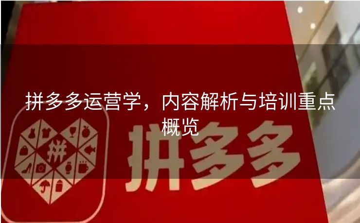 拼多多运营学，内容解析与培训重点概览