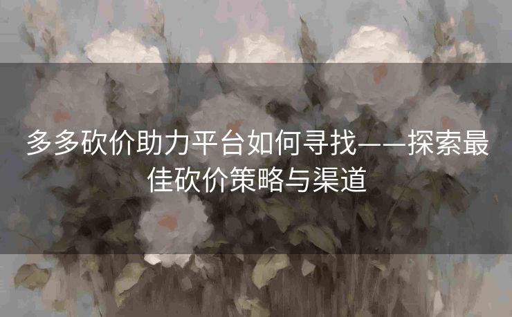 多多砍价助力平台如何寻找——探索最佳砍价策略与渠道