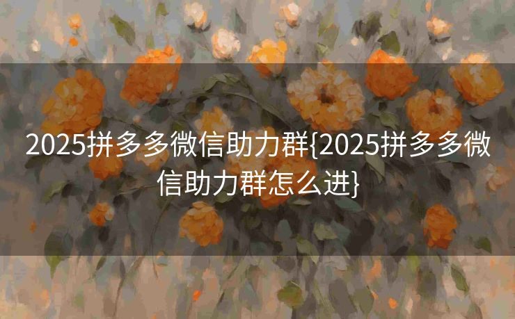 2025拼多多微信助力群{2025拼多多微信助力群怎么进}