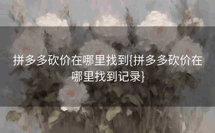 拼多多砍价在哪里找到{拼多多砍价在哪里找到记录}