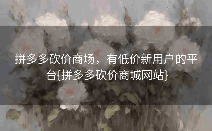拼多多砍价商场，有低价新用户的平台{拼多多砍价商城网站}