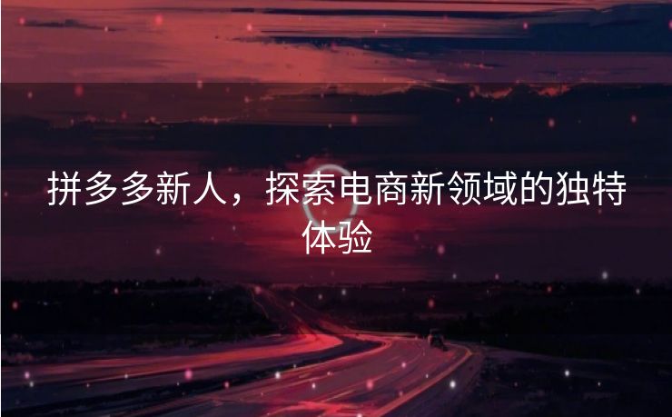 拼多多新人，探索电商新领域的独特体验