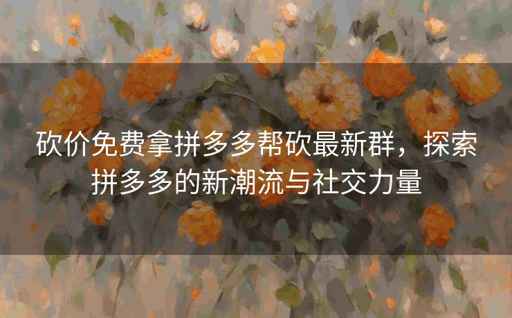 砍价免费拿拼多多帮砍最新群，探索拼多多的新潮流与社交力量