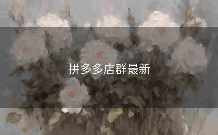 拼多多店群最新