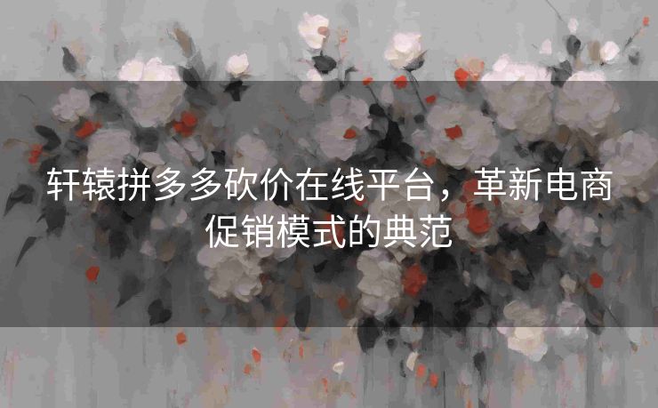 轩辕拼多多砍价在线平台，革新电商促销模式的典范