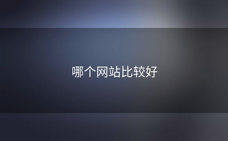 哪个网站比较好