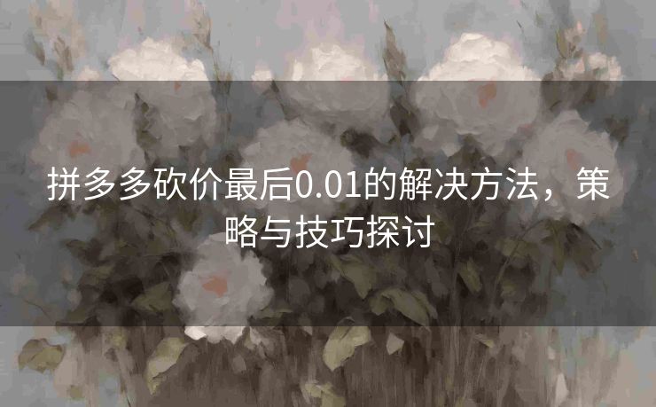 拼多多砍价最后0.01的解决方法，策略与技巧探讨