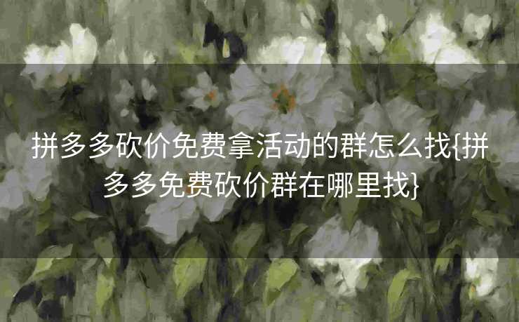 拼多多砍价免费拿活动的群怎么找{拼多多免费砍价群在哪里找}