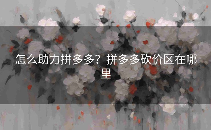 怎么助力拼多多？拼多多砍价区在哪里