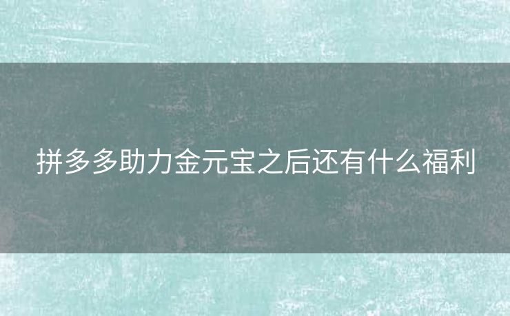 拼多多助力金元宝之后还有什么福利