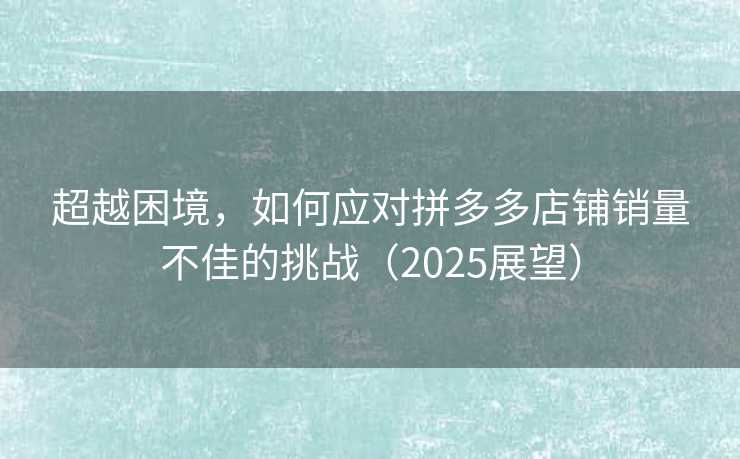 超越困境，如何应对拼多多店铺销量不佳的挑战（2025展望）