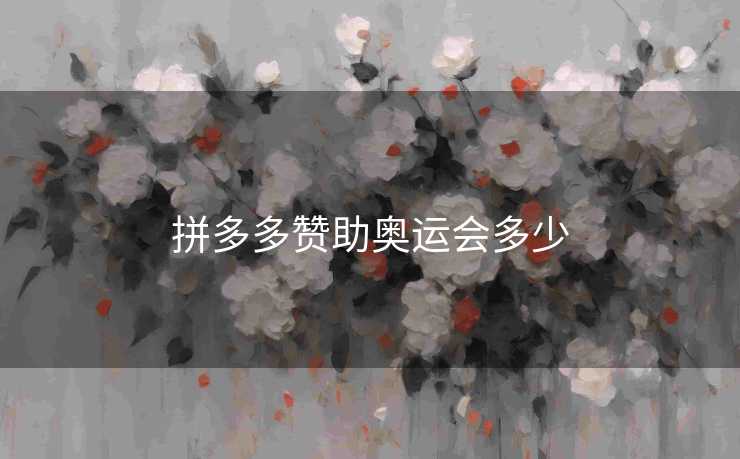 拼多多赞助奥运会多少