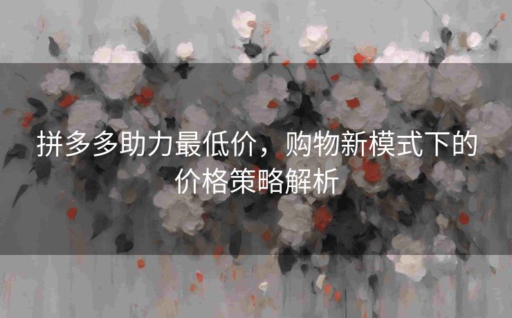 拼多多助力最低价，购物新模式下的价格策略解析